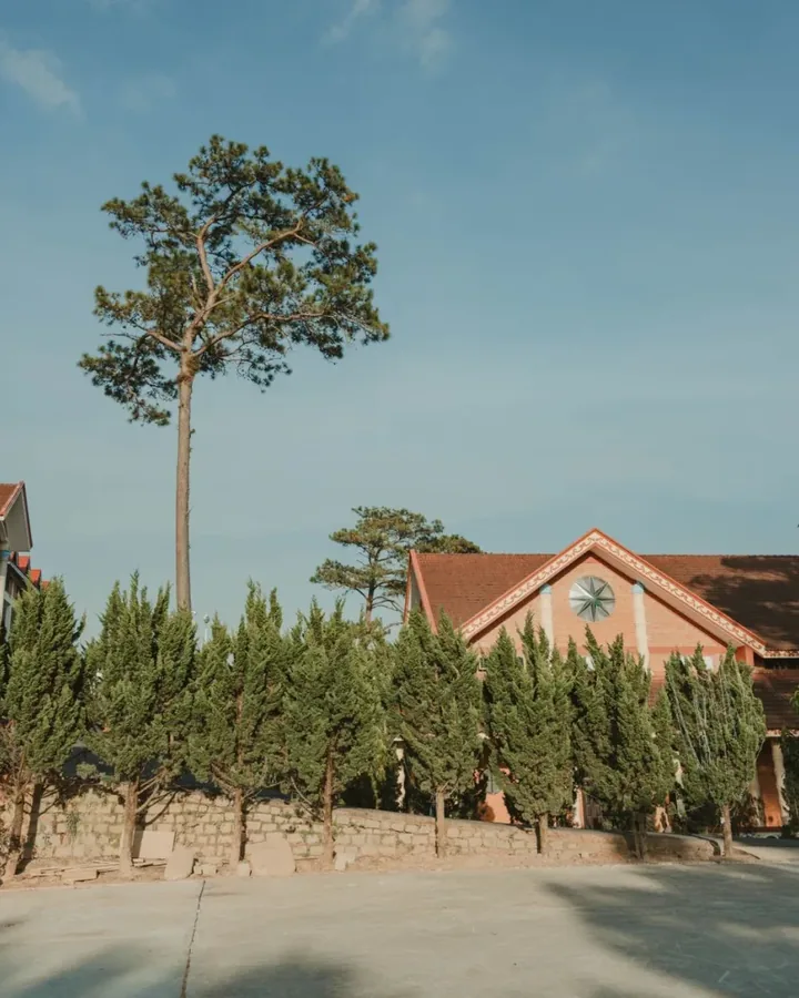 Hình ảnh tại Phan Đức Hùng 1968 2